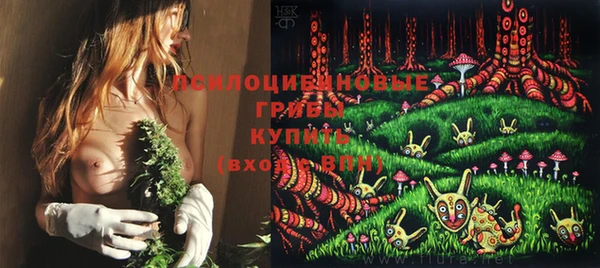 винт Елизово