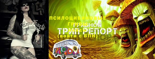 дмт Дмитриев