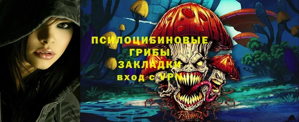 дмт Дмитриев