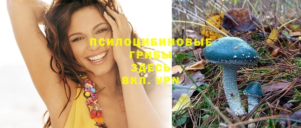 соль курить ск Дмитров