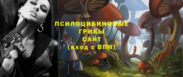дмт Дмитриев