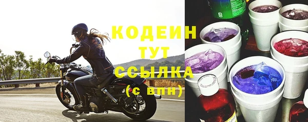 дмт Дмитриев