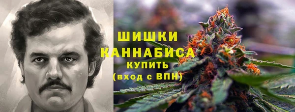 винт Елизово